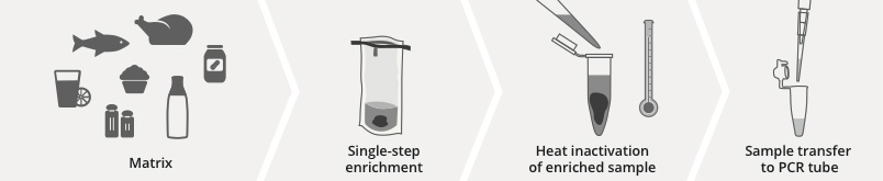 DNA Extraction-free Method