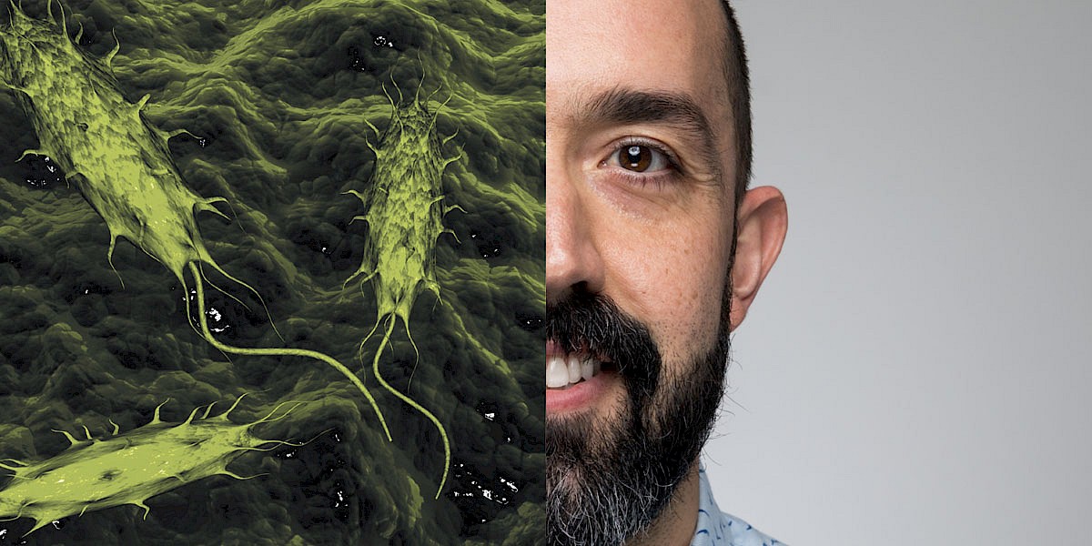 cannabis aspergillus testing kit