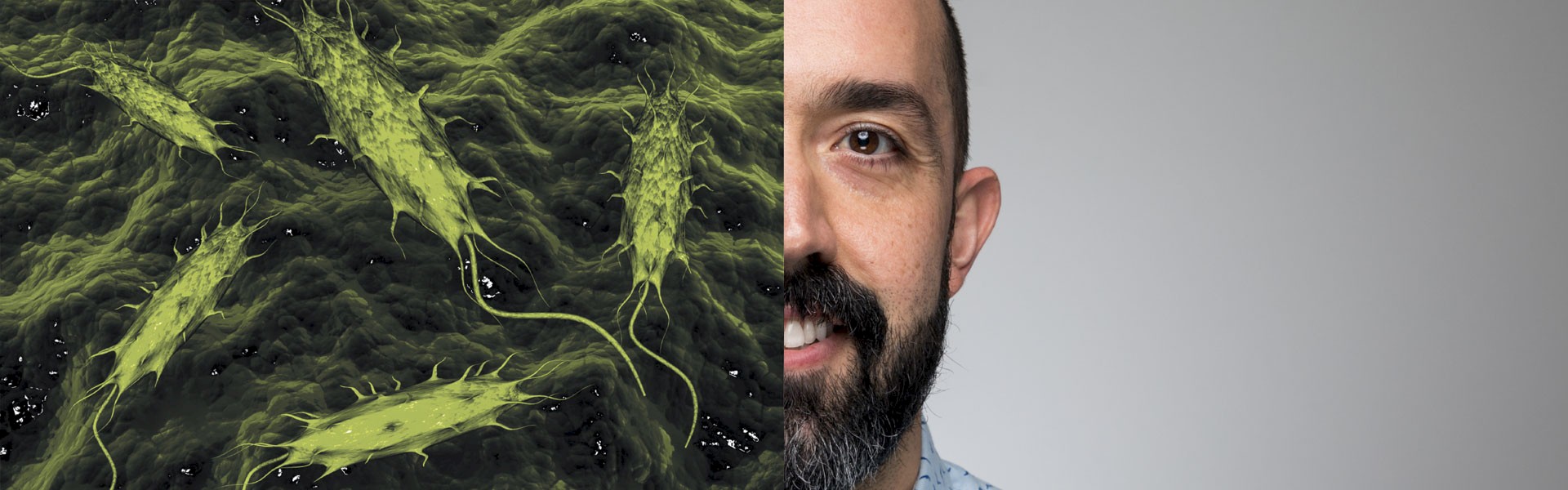 cannabis aspergillus testing kit