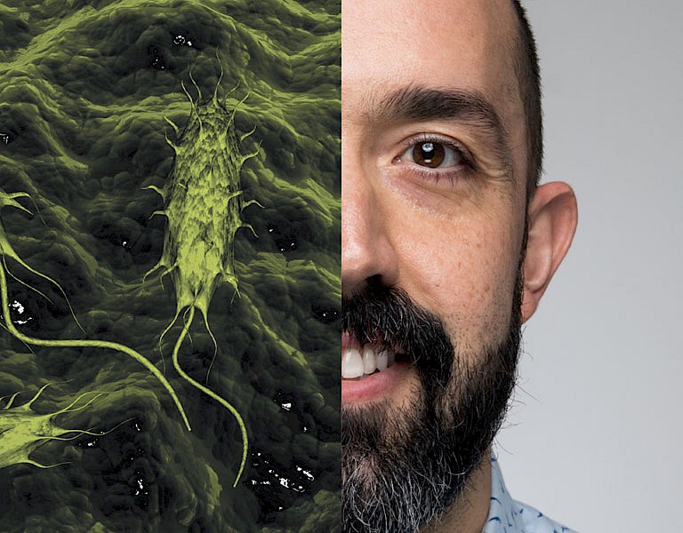 cannabis aspergillus testing kit